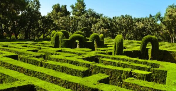 Perderse Juntos en el Parque del Laberinto de Horta