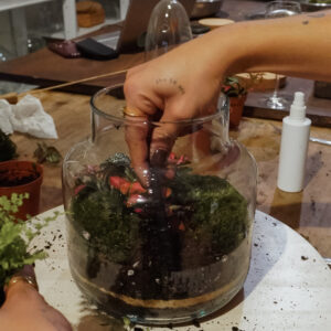Taller de Terrarios para Parejas: Crea un Ecosistema Vivo con Vino Ilimitado